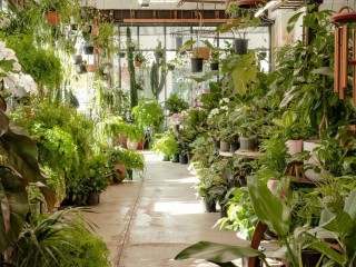 Fitzroy Nursery — Iconic CBD Nursery